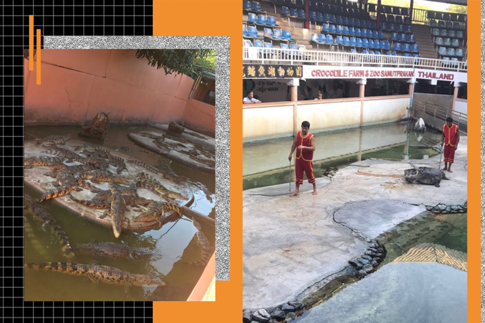 高端拉床,專用機床,內拉床,外拉床,數(shù)控機床,自動化生產(chǎn)線,工業(yè)機器人