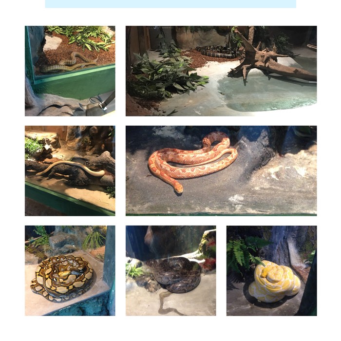 高端拉床,專用機床,內拉床,外拉床,數(shù)控機床,自動化生產(chǎn)線,工業(yè)機器人