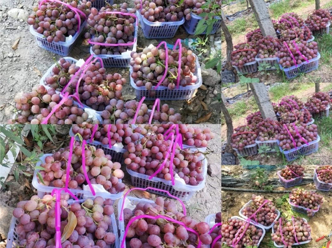 高端拉床,專用機床,內拉床,外拉床,數(shù)控機床,自動化生產(chǎn)線,工業(yè)機器人,拉床,拉刀,自動化