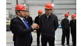 麗水市市委書記史濟(jì)錫調(diào)研暢爾