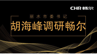 麗水市委書記胡海峰調(diào)研暢爾