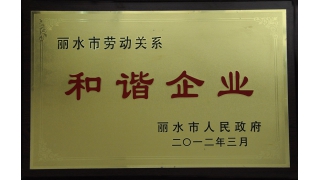 麗水市勞動關(guān)系和諧企業(yè)
