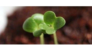 【暢爾故事】成長(zhǎng)之“家”