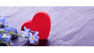 【暢爾故事】胡武英：在暢爾，總有溫暖隨行